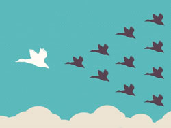 Consejos para ser un buen jefe