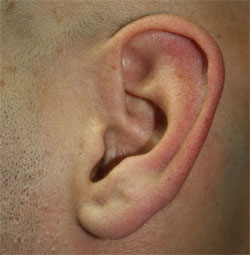 Impacto del ruido para el trabajo