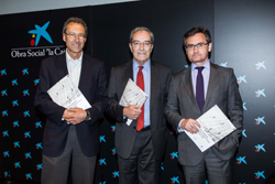 Presentación estudio ONG