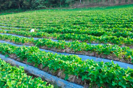 Aumentar productividad en empresas