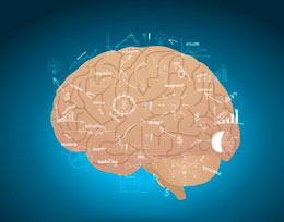 Crecimiento de las empresas innovadoras