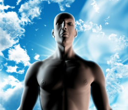 Cuerpo humano, de Free Download