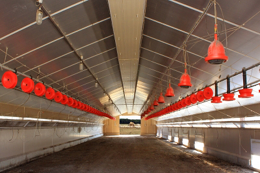 Área logística, de Free Download