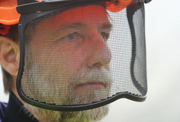 Protección de marca personal, de Free Download