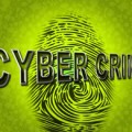 Cibercrimen, de Free Download