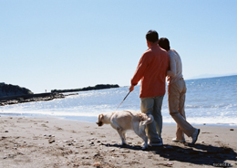 Jubilados, de Photo Rack