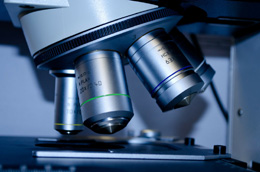 Investigación, desarrollo e innovación, de Pixabay