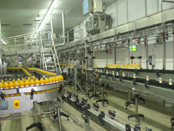 Sector agroalimentario, de Trace One