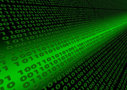 Supervivencia en digital, de Pixabay