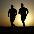 Apoyo del lider, de Pixabay