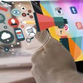 Contenidos de redes sociales, de Pixabay